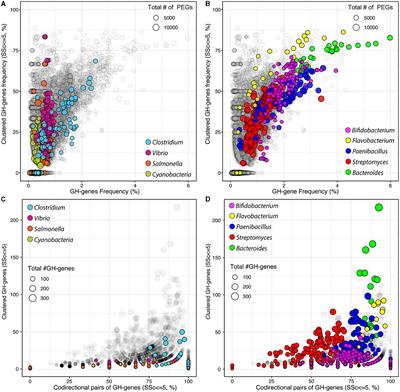 The supragenic organization of glycoside hydrolase encoding genes reveals distinct strategies for carbohydrate utilization in bacteria